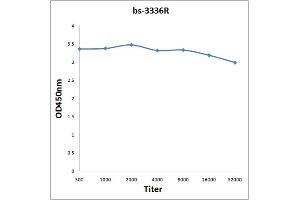 Antigen: 0. (EIF2AK2 antibody  (pThr451))