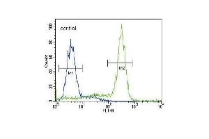 ST Antibody (C-term) (ABIN392001 and ABIN2841786) flow cytometric analysis of HepG2 cells (right histogram) coared to a negative control cell (left histogram). (MPST antibody  (C-Term))