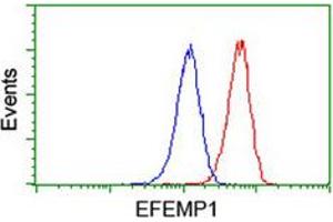 Flow cytometric analysis of Jurkat cells with EFEMP1 monoclonal antibody, clone 1D9  (Red). (FBLN3 antibody)