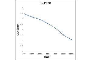 Antigen: 0. (eIF4EBP1 antibody  (pSer65))