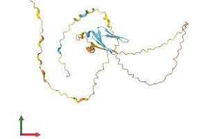 AlphaFold protein structure predicition of Human Recombinant PRR23C Protein, UniprotID Q6ZRP0 (PRR23C Protein (AA 1-262) (His tag))