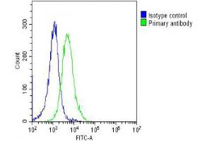 Overlay histogram showing Hela cells stained with (ABIN6243144 and ABIN6578669) (green line). (PPIB antibody  (AA 161-195))