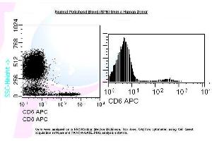 Image no. 1 for anti-CD6 (CD6) antibody (APC) (ABIN1112219) (CD6 antibody  (APC))