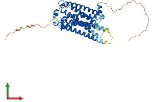 Protein Structure (PS) image for Lysophosphatidic Acid Receptor 1 (LPAR1) (AA 1-364) protein (His tag) (ABIN7563496)