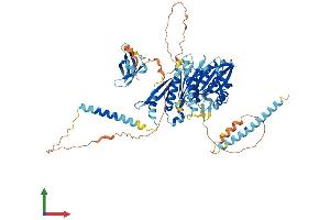 AlphaFold protein structure predicition of Human Recombinant KIF2B Protein, UniprotID Q8N4N8 (KIF2B Protein (AA 1-673) (His tag))