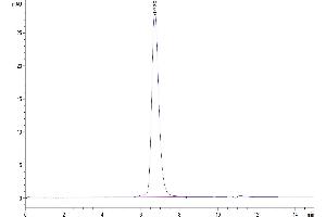 Size-exclusion chromatography-High Pressure Liquid Chromatography (SEC-HPLC) image for CD33 (CD33) (AA 18-259) protein (Fc Tag) (ABIN7275588)