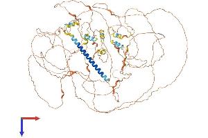 AlphaFold protein structure predicition of Mouse Recombinant Krba1 Protein, UniprotID Q6NXZ1