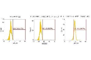 Flow Cytometry (FACS) image for anti-Hypoxanthine phosphoribosyltransferase 1 (HPRT1) (AA 1-218) antibody (APC) (ABIN5568143) (HPRT1 antibody  (AA 1-218) (APC))