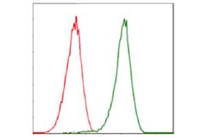 Flow Cytometry (FACS) image for anti-Cyclin-Dependent Kinase 2 (CDK2) antibody (ABIN1845617) (CDK2 antibody)