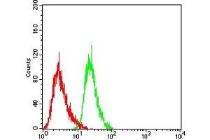 Flow cytometric analysis of Jurkat cells using CD15 mouse mAb (green) and negative control (red). (CD15 antibody  (AA 1-147))