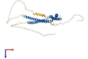SH3-Binding Domain Protein 5-Like (SH3BP5L) (AA 1-392) protein (His tag)