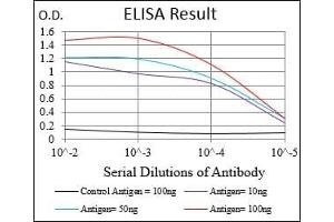 Black line: Control Antigen (100 ng), Purple line: Antigen(10 ng), Blue line: Antigen (50 ng), Red line: Antigen (100 ng), (DDIT3 antibody  (AA 87-192))