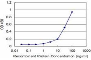 Detection limit for recombinant GST tagged MDS028 is approximately 3ng/ml as a capture antibody. (ITFG2 antibody  (AA 1-447))