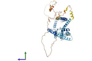 AlphaFold protein structure predicition of Human Recombinant KCNK5 Protein, UniprotID O95279 (KCNK5 Protein (AA 1-499) (His tag))
