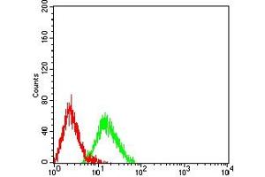 Flow cytometric analysis of HL-60 cells using CD42A mouse mAb (green) and negative control (red). (CD42a antibody  (AA 17-147))