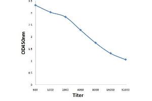 Antigen: 0. (UBP1 antibody  (AA 351-450))