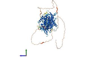 AlphaFold protein structure predicition of Human Recombinant ADARB2 Protein, UniprotID Q9NS39 (ADARB2 Protein (AA 1-739) (His tag))