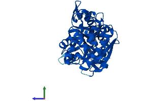 AlphaFold protein structure predicition of Human Recombinant GPD1L Protein, UniprotID Q8N335 (GPD1L Protein (AA 1-351) (His tag))