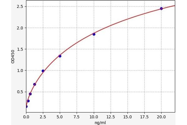 Retinoid X Receptor beta ELISA Kit