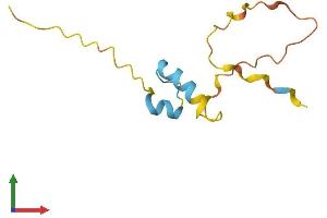 AlphaFold protein structure predicition of Human Recombinant LELP1 Protein, UniprotID Q5T871