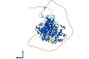 Protein Structure (PS) image for Molybdenum Cofactor Synthesis 1 (MOCS1) (AA 1-636) protein (His tag) (ABIN7549471)