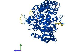 Protein Structure (PS) image for Glutaminyl-tRNA Synthase (Glutamine-Hydrolyzing)-Like 1 (QRSL1) (AA 1-525) protein (His tag) (ABIN7560796)