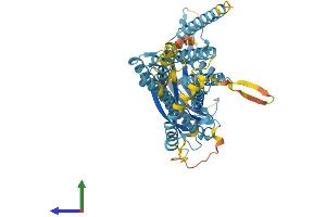 AlphaFold protein structure predicition of Mouse Recombinant Clptm1l Protein, UniprotID Q8BXA5