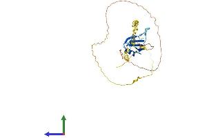 Protein Structure (PS) image for RNA-Binding Protein S1 (RNPS1) (AA 1-305) protein (His tag) (ABIN7555241)