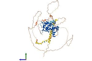 AlphaFold protein structure predicition of Mouse Recombinant Nfia Protein, UniprotID Q02780 (NFIA Protein (AA 1-532) (His tag))