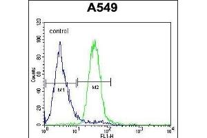 C5AR1 Antibody (Center) (ABIN654658 and ABIN2844355) flow cytometric analysis of A549 cells (right histogram) compared to a negative control cell (left histogram). (C5AR1 antibody  (AA 175-201))