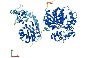 Protein Structure (PS) image for Epoxide Hydrolase 2, Cytoplasmic (EPHX2) (AA 1-554) protein (His tag) (ABIN7563150)
