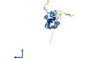 AlphaFold protein structure predicition of Human Recombinant KCTD15 Protein, UniprotID Q96SI1 (KCTD15 Protein (AA 1-283) (His tag))
