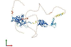 Protein Structure (PS) image for Early B-Cell Factor 2 (EBF2) (AA 1-575) protein (His tag) (ABIN7562207)
