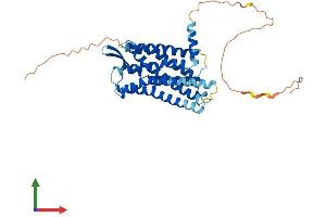 AlphaFold protein structure predicition of Mouse Recombinant Galr2 Protein, UniprotID O88854 (GALR2 Protein (AA 1-371) (His tag))