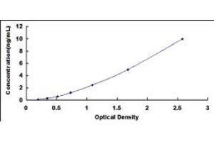 Typical standard curve (MUTYH ELISA Kit)