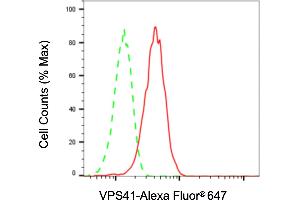 Flow cytometric analysis of VPS41 expression in H9c2 cells using VPS41 antibody (ABIN7800815), 1:2,000). (Recombinant VPS41 antibody)