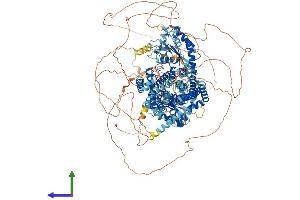 AlphaFold protein structure predicition of Human Recombinant DISP1 Protein, UniprotID Q96F81