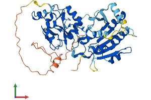 Protein Structure (PS) image for DNA (Cytosine-5-)-Methyltransferase 3 Like (TRDMT1) (AA 1-421) protein (His tag) (ABIN7560680)