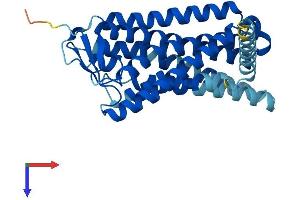 AlphaFold protein structure predicition of Human Recombinant OR4C15 Protein, UniprotID Q8NGM1 (OR4C15 Protein (AA 1-316) (His tag))