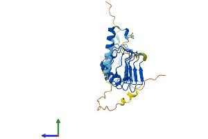 AlphaFold protein structure predicition of Mouse Recombinant Lrrc18 Protein, UniprotID Q9CQ07