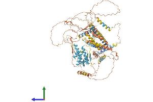 AlphaFold protein structure predicition of Mouse Recombinant Akap3 Protein, UniprotID O88987 (AKAP3 Protein (AA 1-864) (His tag))