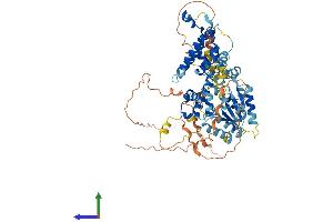 Protein Structure (PS) image for RAD17 (RAD17) (AA 1-688) protein (His tag) (ABIN7564065)