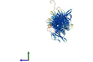 Protein Structure (PS) image for Janus Kinase 3 (JAK3) (AA 1-1124) protein (His tag) (ABIN7554227)