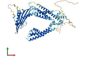 AlphaFold protein structure predicition of Human Recombinant MCOLN1 Protein, UniprotID Q9GZU1
