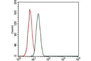 Flow cytometric analysis of MCF-7 cells using troponin T2 mouse mAb (green) and negative control (red). (Cardiac Troponin T2 antibody)