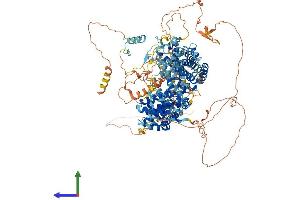Protein Structure (PS) image for Retinoblastoma-Like 2 (p130) (RBL2) (AA 1-1135) protein (His tag) (ABIN7563993)