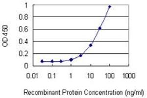Detection limit for recombinant GST tagged PENK is 1 ng/ml as a capture antibody. (Enkephalin antibody  (AA 1-267))