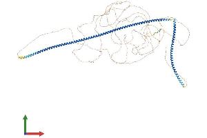 AlphaFold protein structure predicition of Mouse Recombinant Mtus1 Protein, UniprotID Q5HZI1