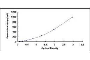 Typical standard curve (IL12B ELISA Kit)