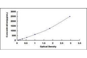 ELISA image for Ciliary Neurotrophic Factor (CNTF) ELISA Kit (ABIN416073)